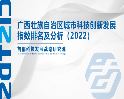 后入爆操网站【成果发布】广西壮族自治区城市科技创新发展指数排名及分析（2022）